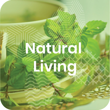 NOAcat Living EN - Business the Natural Way